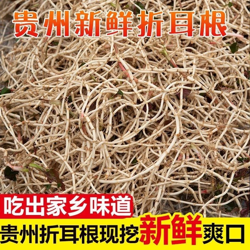 贵州折耳根新鲜现挖凉拌香辣