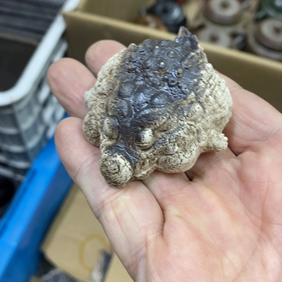 茶杯紫砂紫砂紫砂