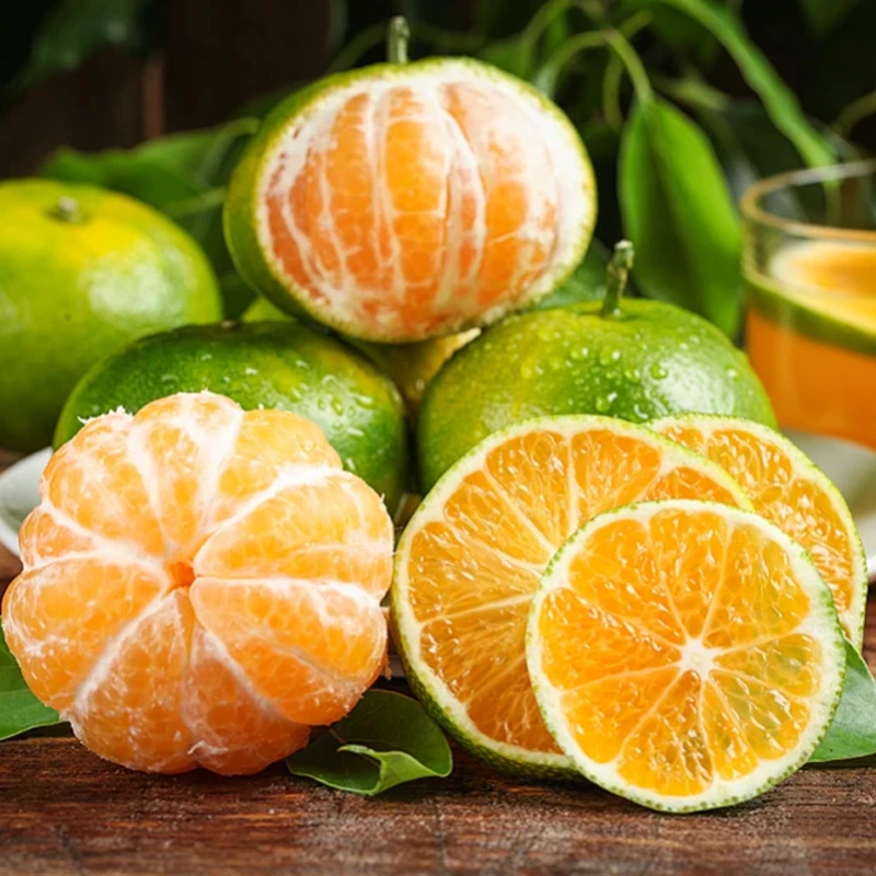 【现摘现发特早蜜桔】青皮蜜桔当季水果新鲜橘子早熟皮薄无籽柑桔