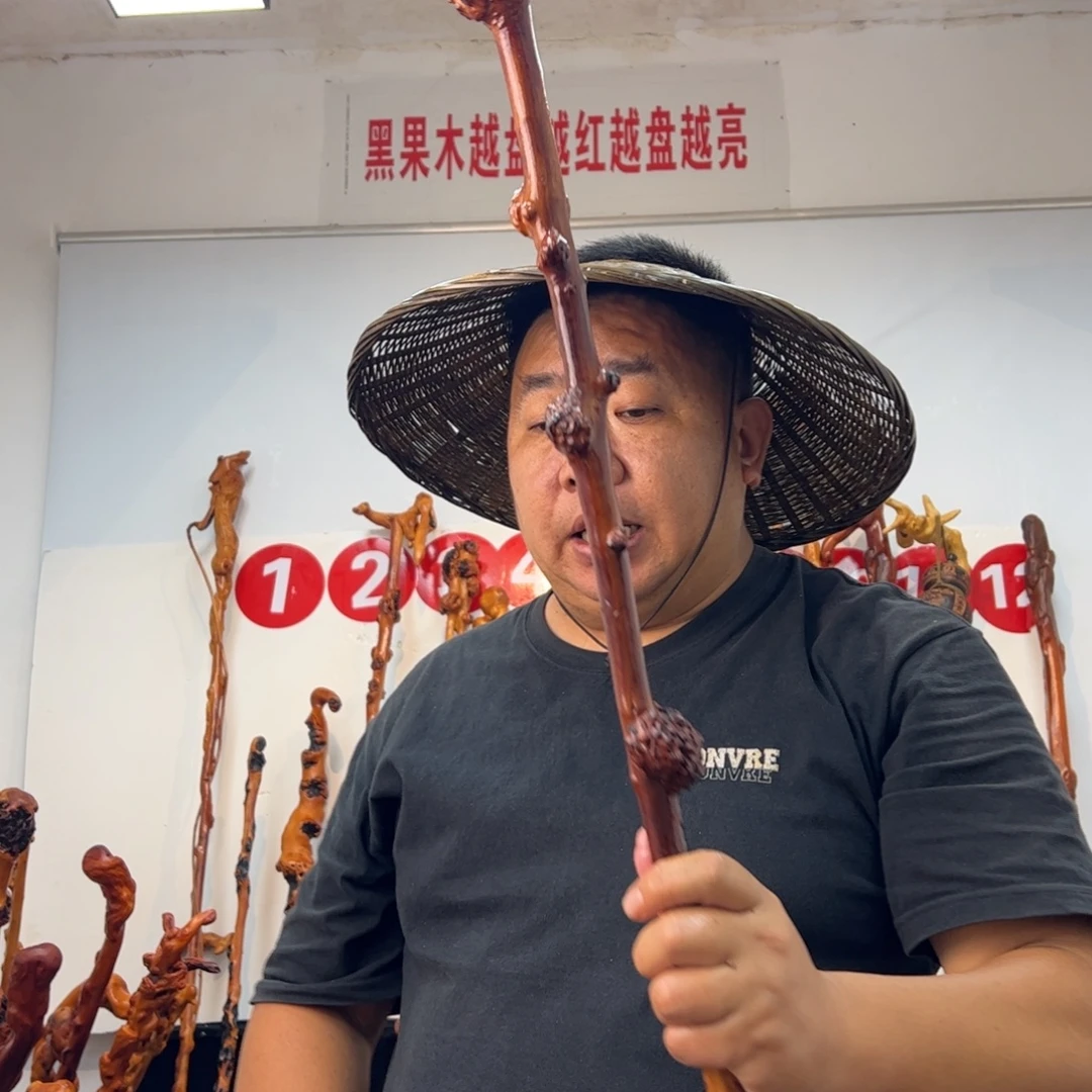 奔***乐其他黑果木黑果木289