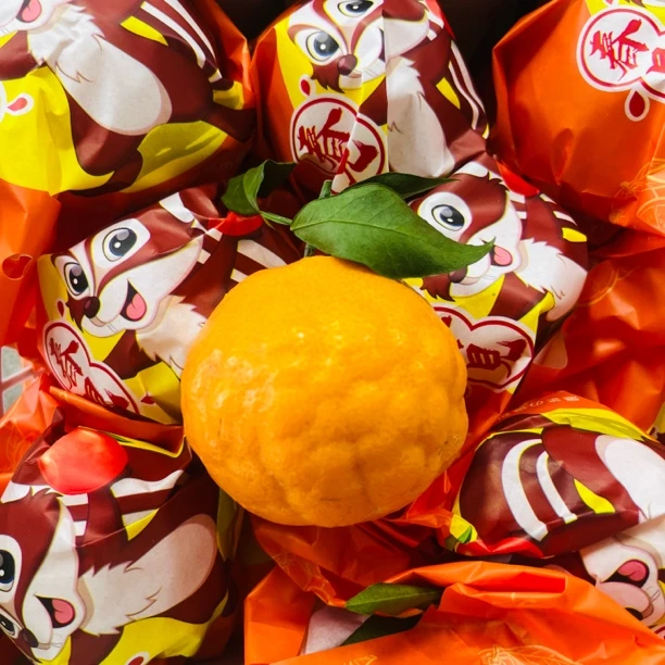 四川手提见耙耙柑一箱毛重约5.5斤耙耙柑四川省眉山市