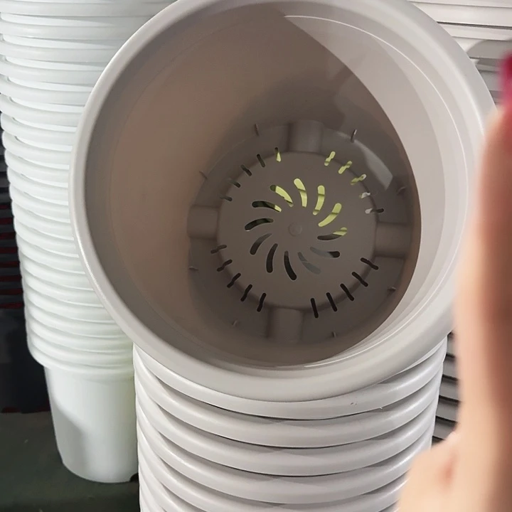四季9号灰白无托4个特价微瑕