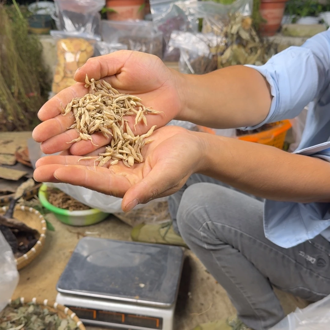 中国大陆MD250克17