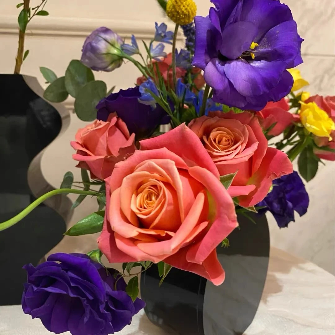 【超新品】诺言 云南玫瑰花苗大花浓香四季开花卉绿植盆栽植物