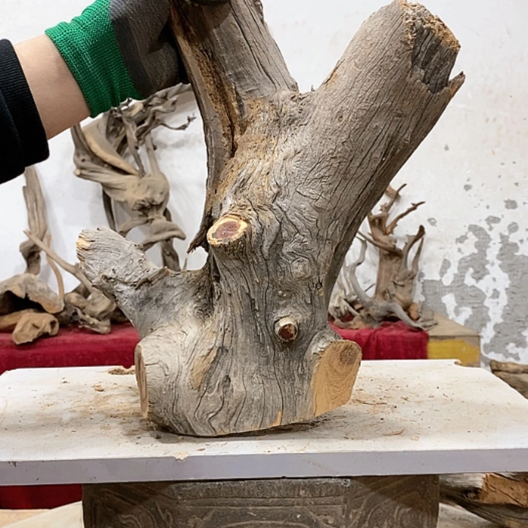 【闪购商品】柏木定****品我们都是好孩子