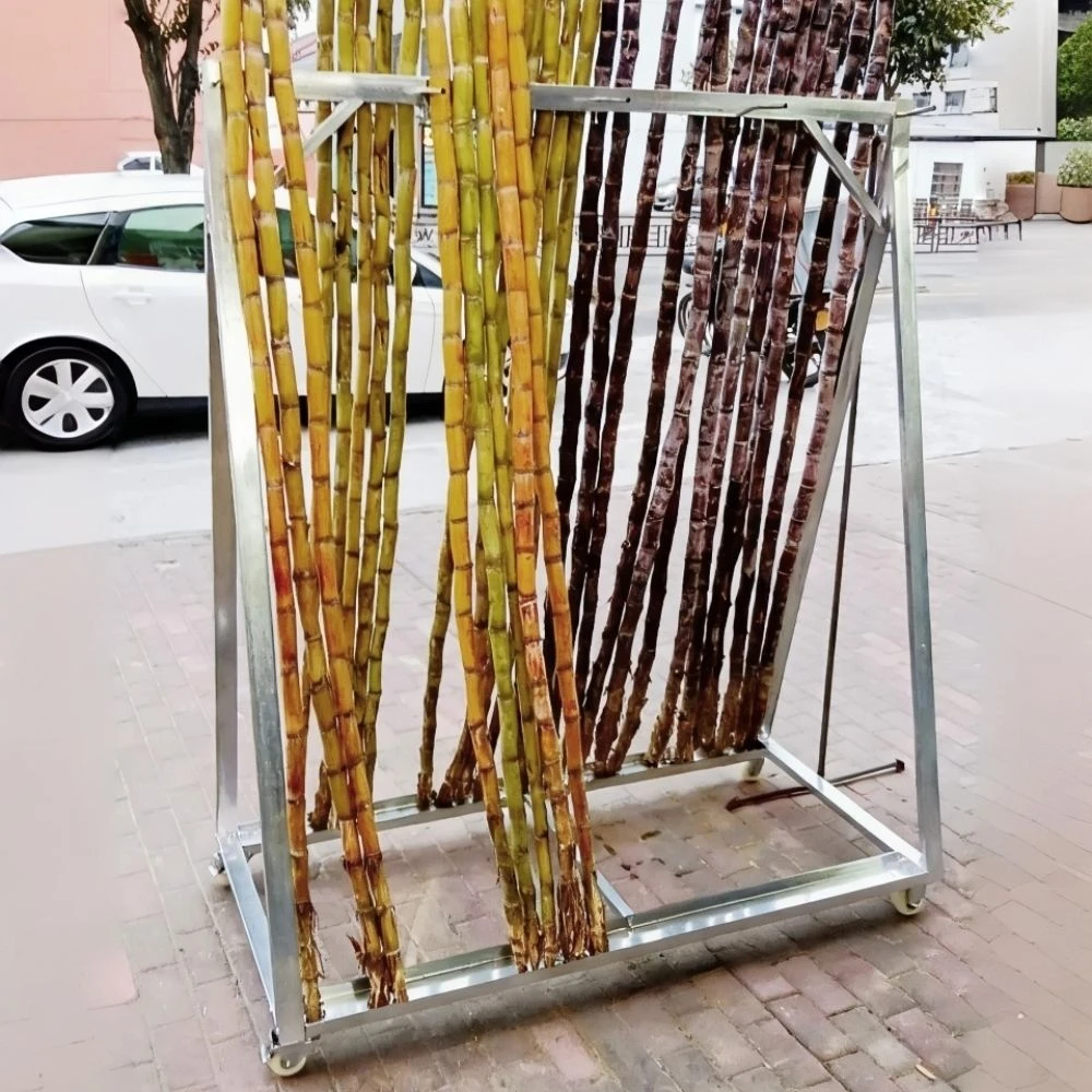 水果店移动甘蔗架子立放展示架双面展示架摆放架靠甘蔗收纳陈列架