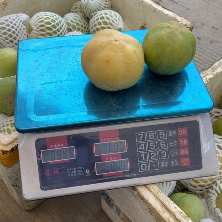 海***飘天使25788888889998