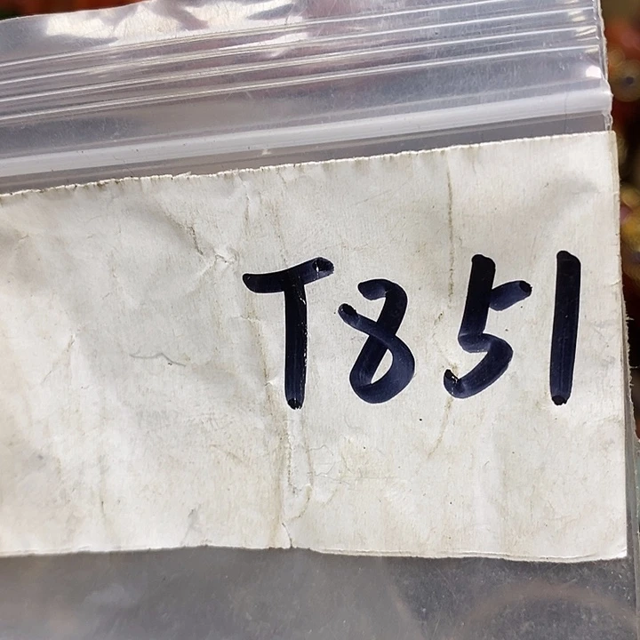 小***子德宝文玩专属链接