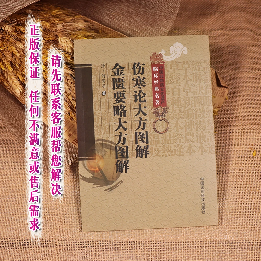 【天地合】伤寒论大方图解 金匮要略大方图解 中医非物质文化遗产