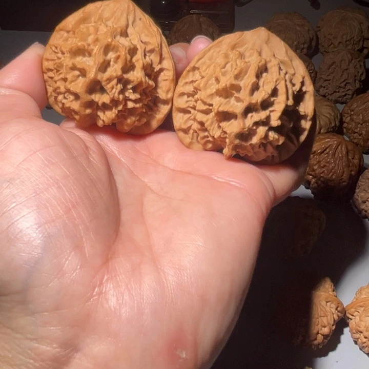 木质类帝王50全品