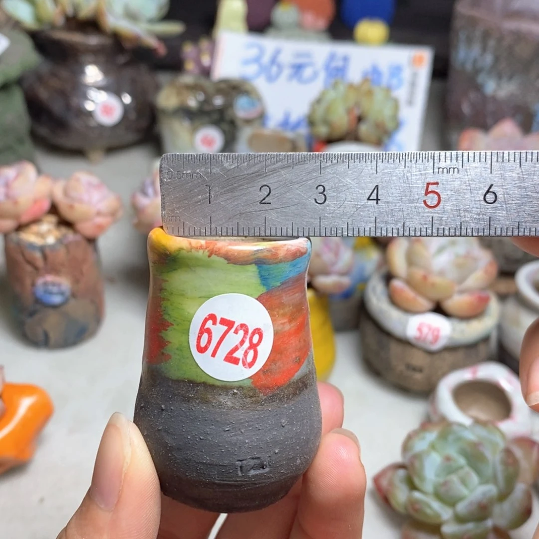 拍5送一个小礼物