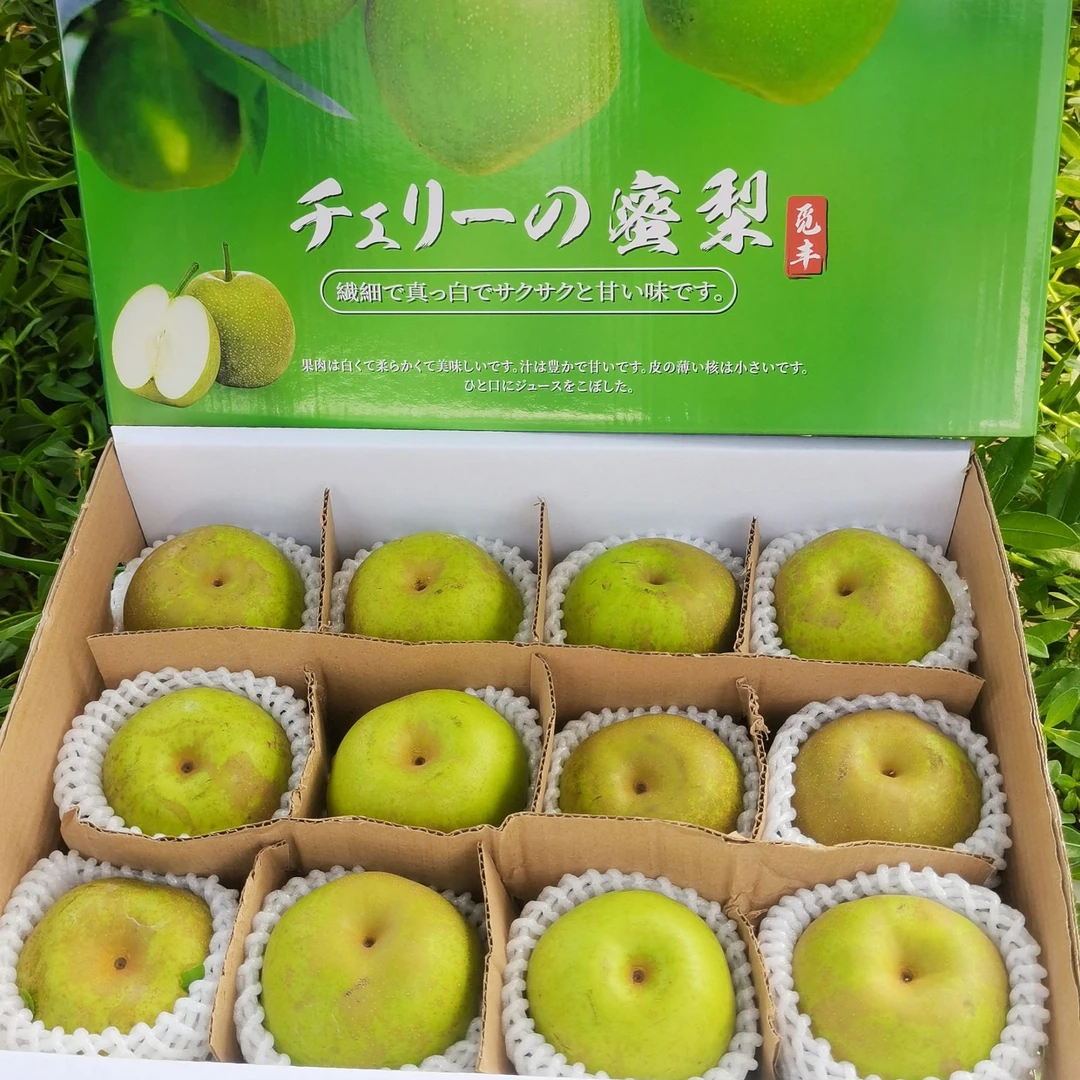 鑫聚丰【特价翠冠梨】果园新上市现采现发!夏季可口水果