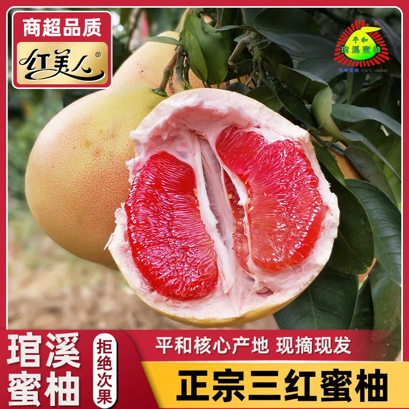 【广东一家人专属】三红蜜柚新鲜采摘柚子香甜爽口多汁当季