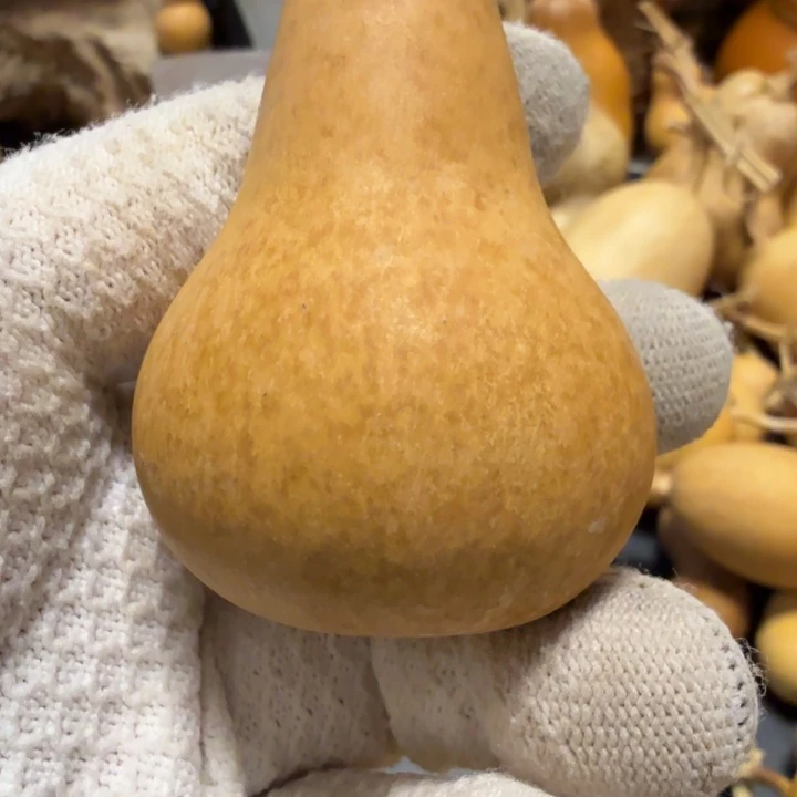 1***道666666677778888888999