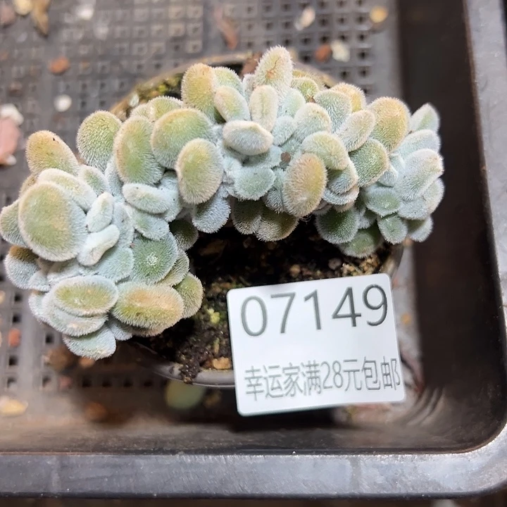 幸运的是我还没遇到过
