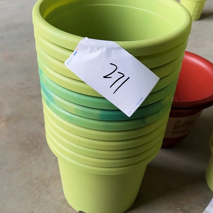编号271串色6个无托