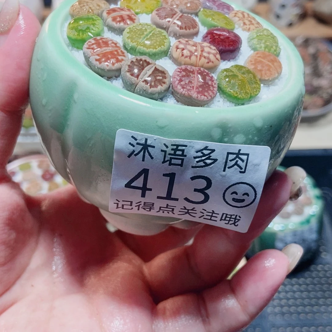 一物一拍 所见即所得413