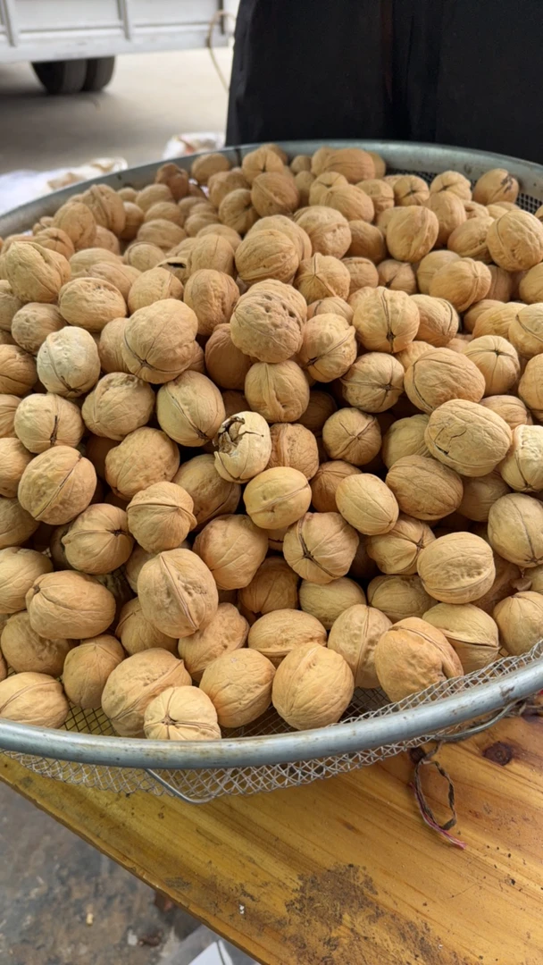 【核桃】高山核桃今年核桃营养美味