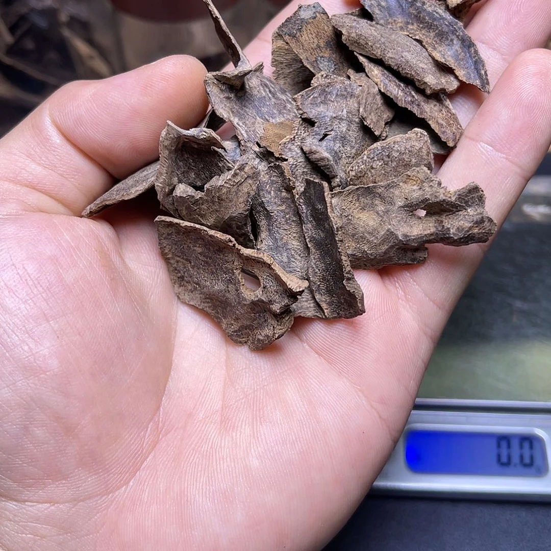 香榧木海南尖峰岭老包头11克