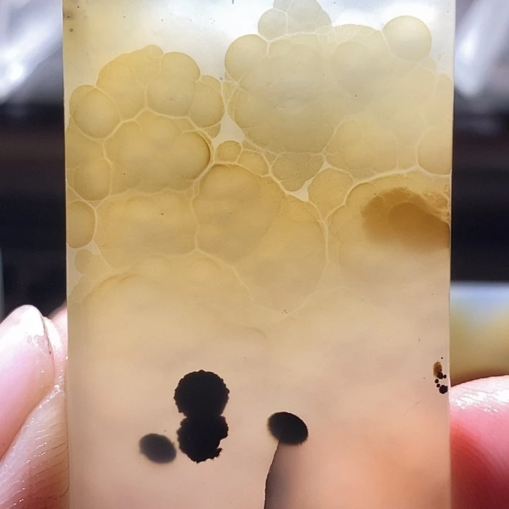 查罗石未镶嵌颈饰