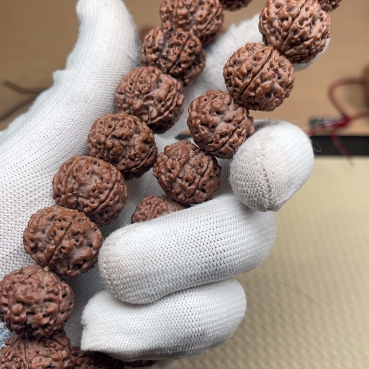 金刚菩提手串古龙梅花铁籽