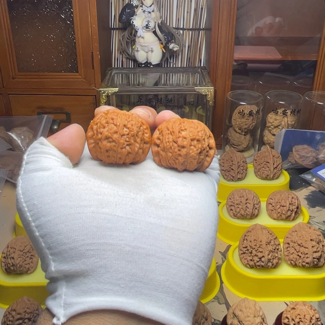 坦***Z41平谷血麒麟已打底