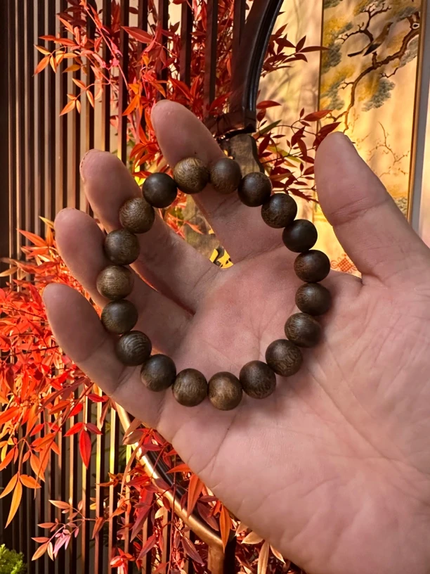 沉香一代苗老白棋圆珠沉香1.1单圈多样性发高级一条