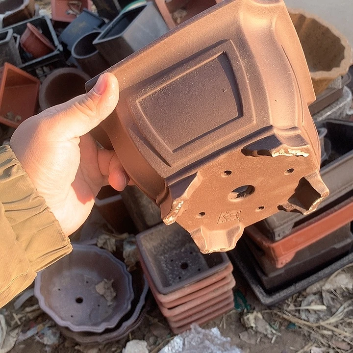 紫砂哈哈真的是太给力太火爆了