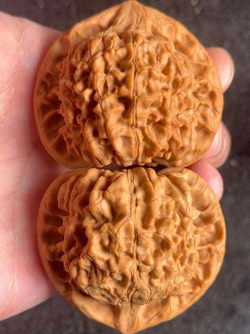 文玩核桃官帽45尺左右