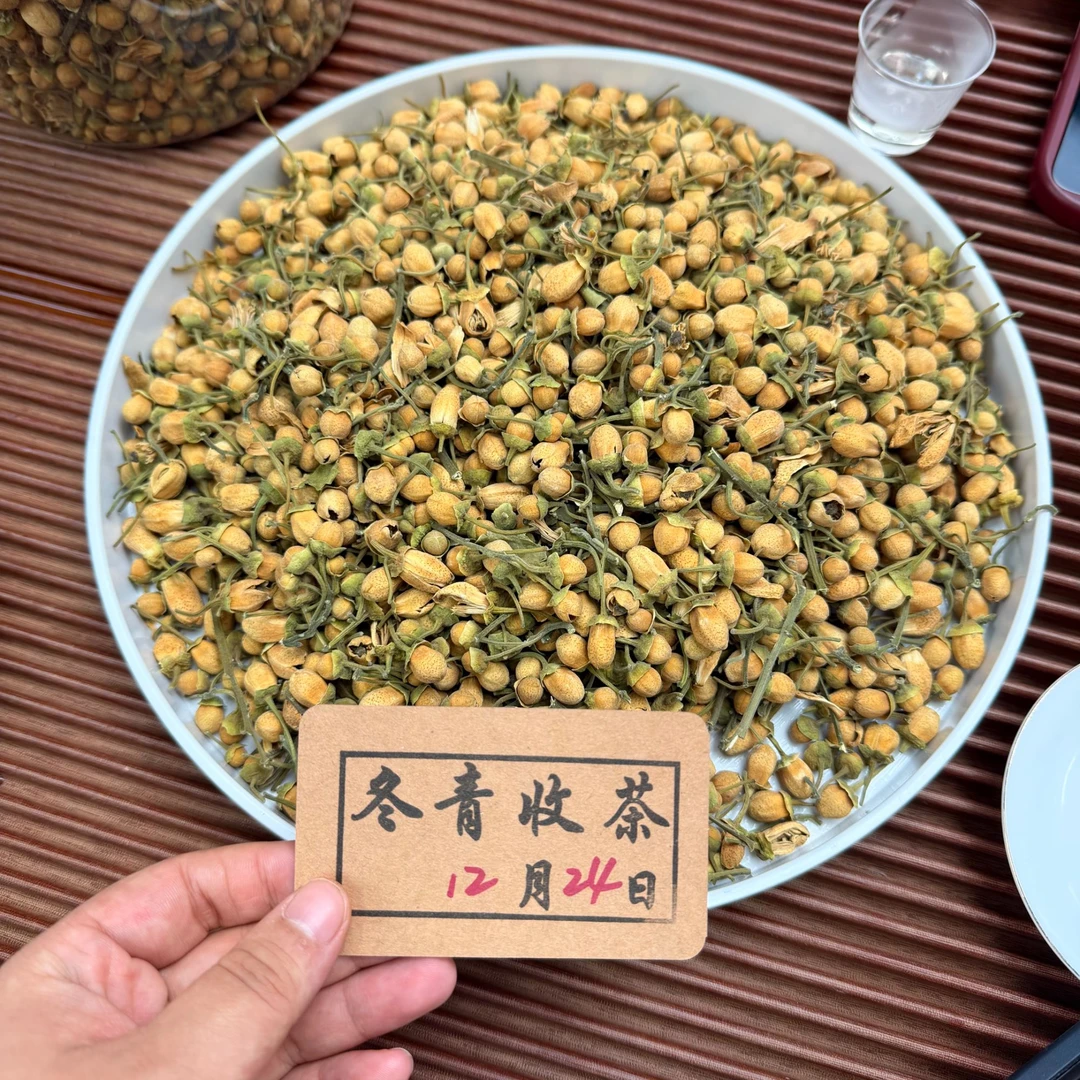 化州橘红花苞 20年老树头采花蕾 柚香花蜜甜 冬青滋补