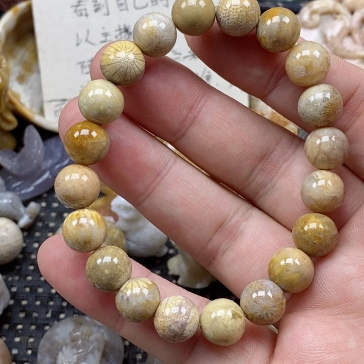 颈饰未镶嵌硅化珊瑚（珊瑚玉）