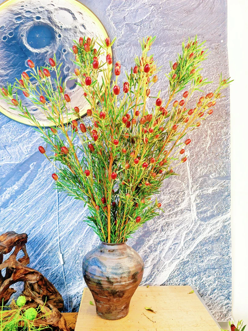 【林涧】红宝石鲜切花材