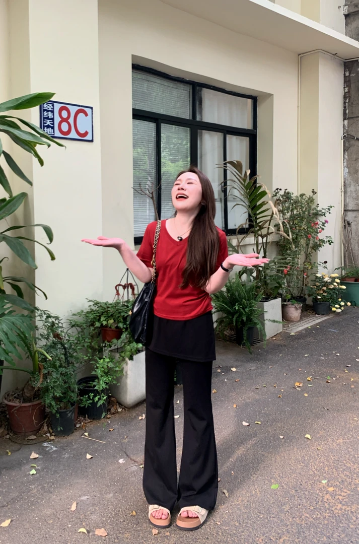 NANJIE/楠姐【瘦瘦T】夏季小V领显瘦百搭气质短袖上衣XNS6350