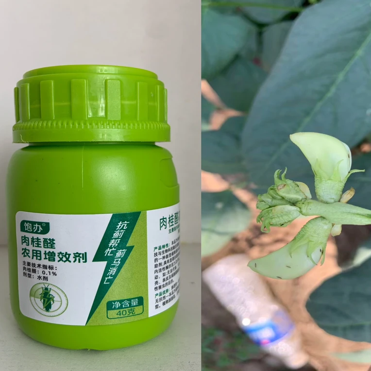 肉桂醛农用增效剂活力工艺大瓶新型抗性使用虫害种植小瓶加大增强