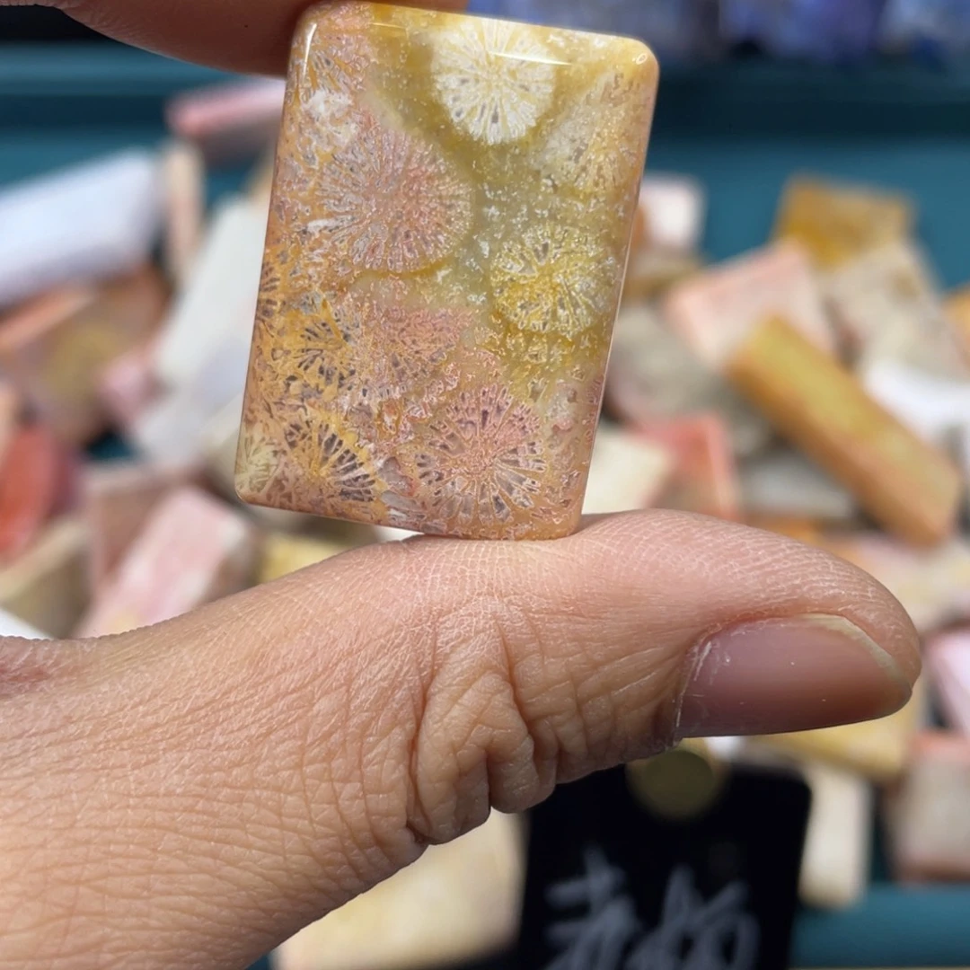 未镶嵌手镯硅化玉