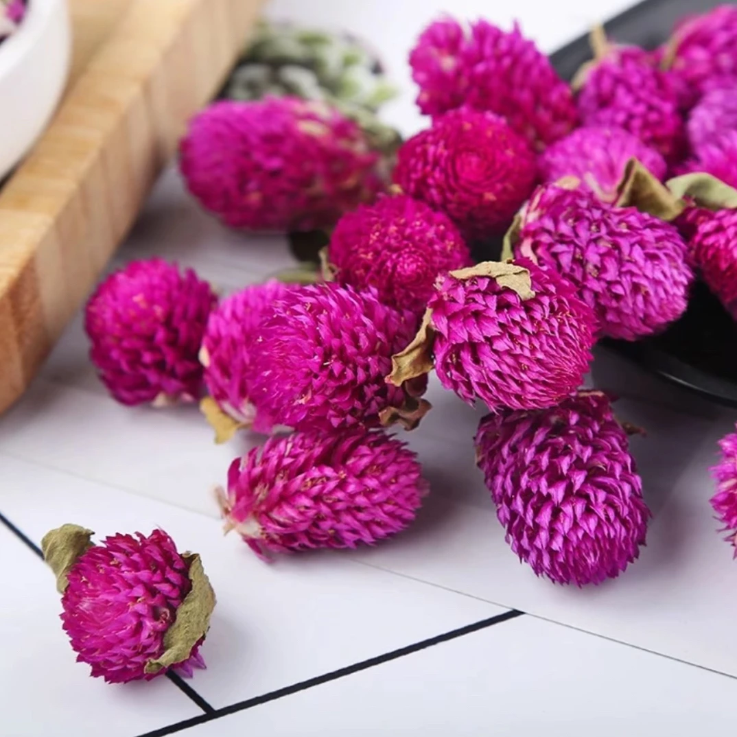 甄选高山好货【长生花】 长寿花 千岁红 珍藏500g