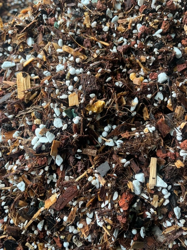 云香兰亭精品兰花专用10合一