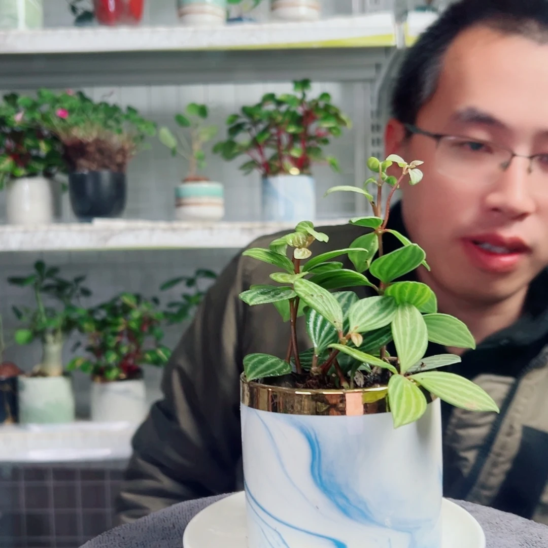 神***宝无花朵21