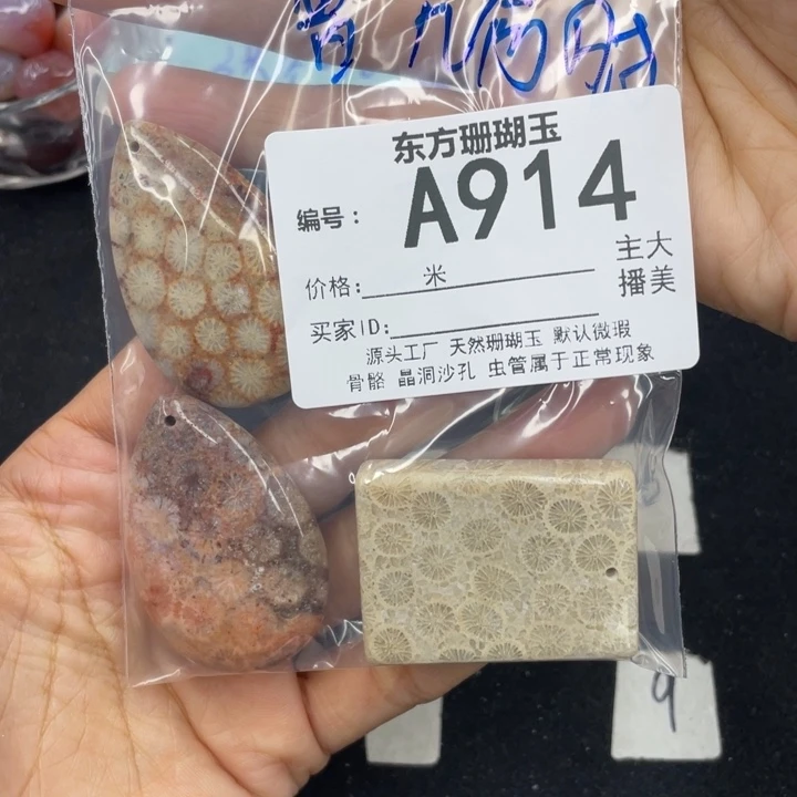 硅化珊瑚（珊瑚玉）颈饰合金曾**时