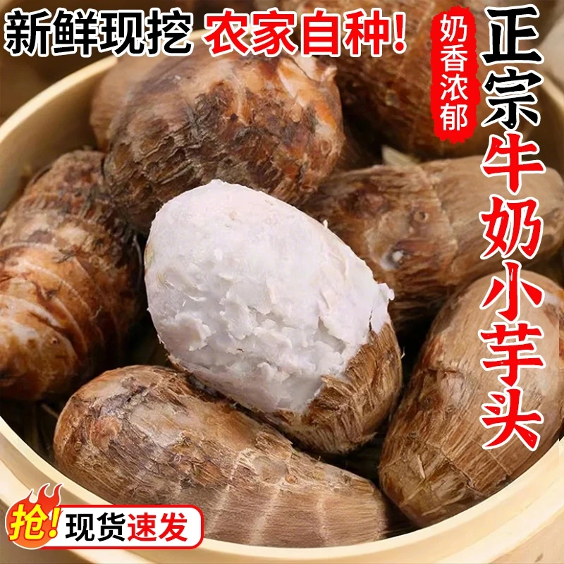 【誉福园】山东牛奶小芋头3斤/4.5斤装 小个头大软糯好吃