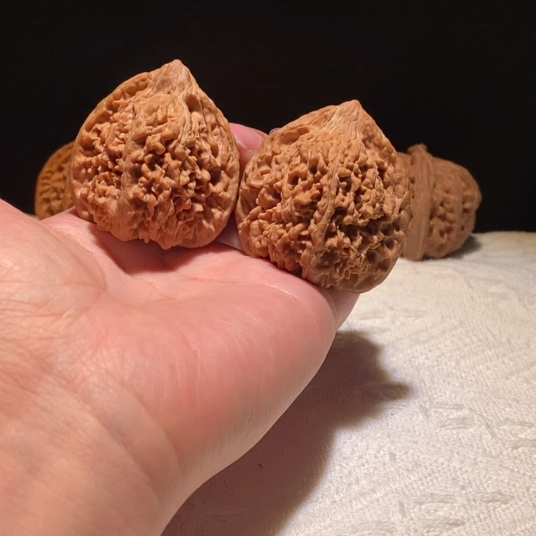 瑞***极品满天星，43尺，