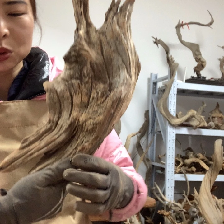 木太行崖柏毛料板根