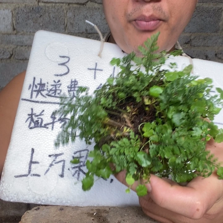 退款拉黑一物一拍233