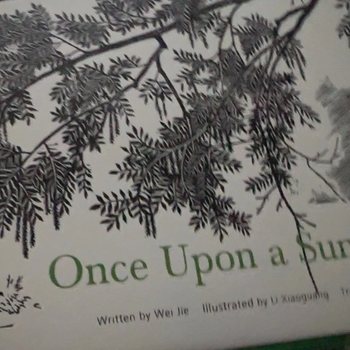 英文原版夏天绝版