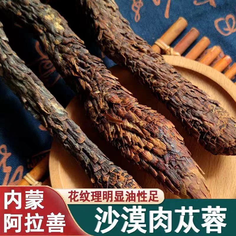 荒漠肉苁蓉内蒙古阿拉善肉苁蓉整根可泡酒泡水沙漠大芸山药