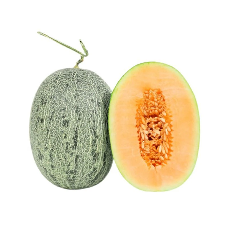 优选 西州蜜瓜2.3-2.5kg