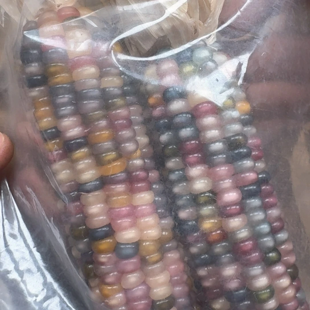 柏香籽/百香籽吊坠～*宁