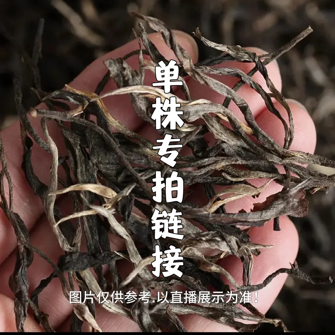 【单株专拍】2026年 邦旭 永生家单株 森林茶 头春古树普洱生茶散茶