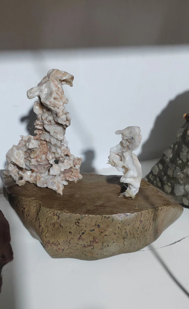 戈壁奇石原石盆景石