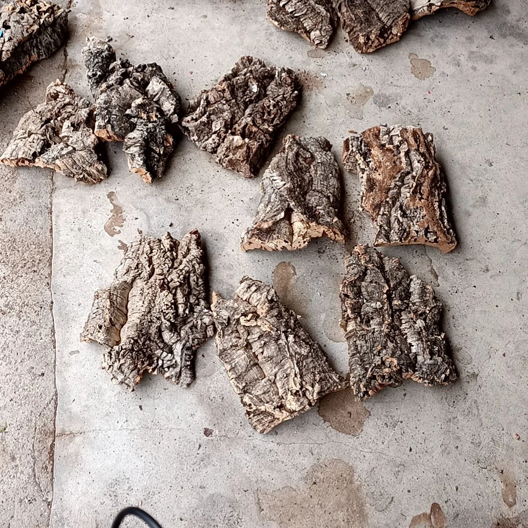 木一物一拍一物一发